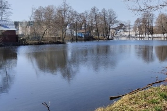 Расчистка участка реки Мошляйки в селе Тулиновка Тамбовского округа