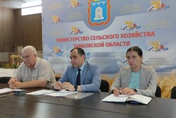 В Минсельхозе Тамбовской области обсудили проведение в регионе госмониторинга зерна нового урожая