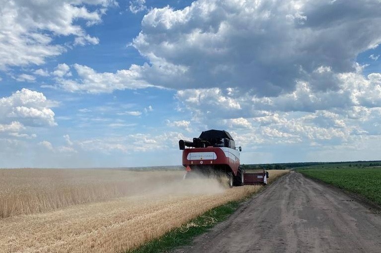 александровка мучкапский район