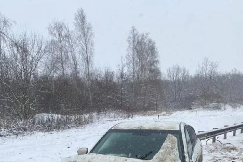 волки в кирсановском районе