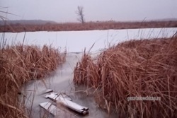 Лебединое озеро под Мучкапом опустело