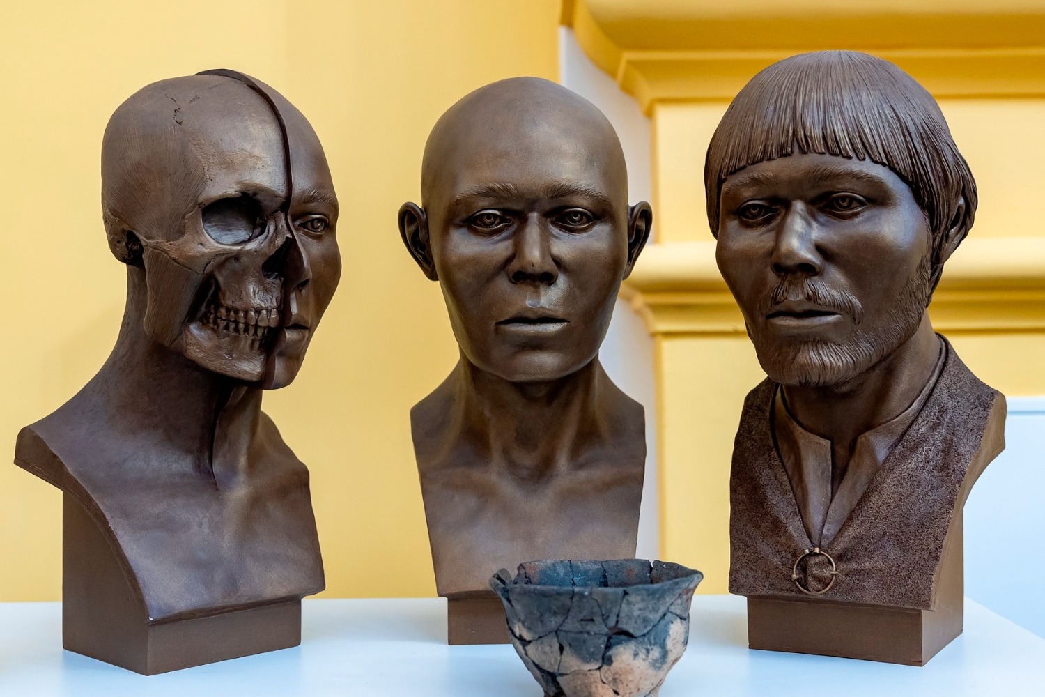 Реконструкция облика мордвы по черепу