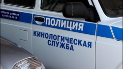 В Тамбове задержан лже-террорист: он угрожал взорвать железнодорожный вокзал