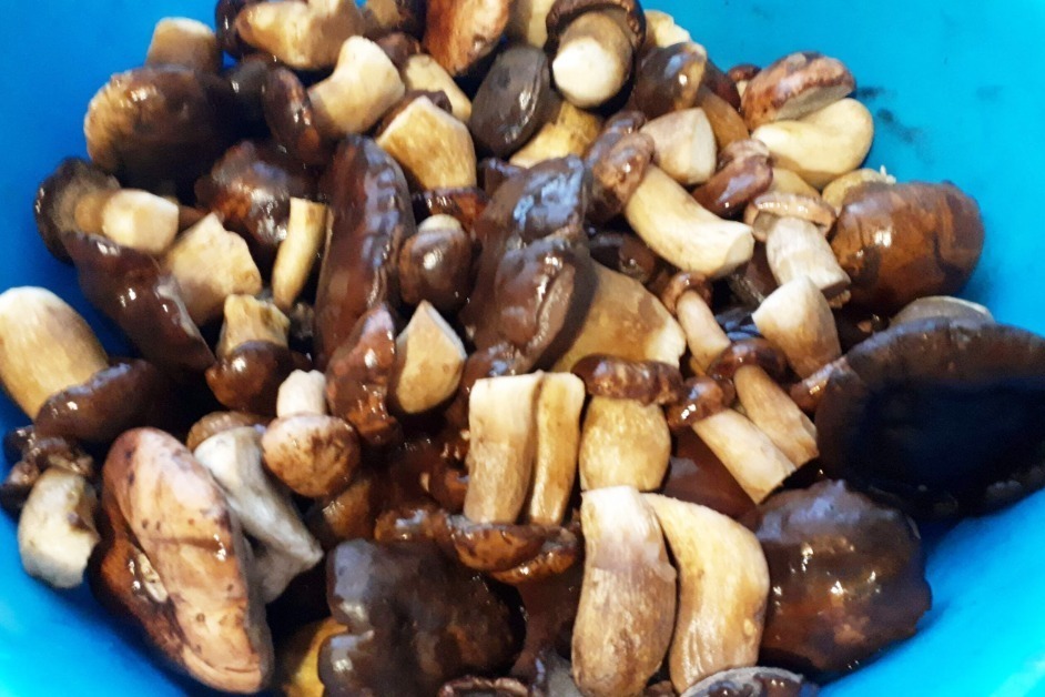 Фото: Наталия Служеникина