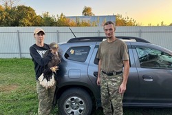 Под Моршанском спасли краснокнижную птицу