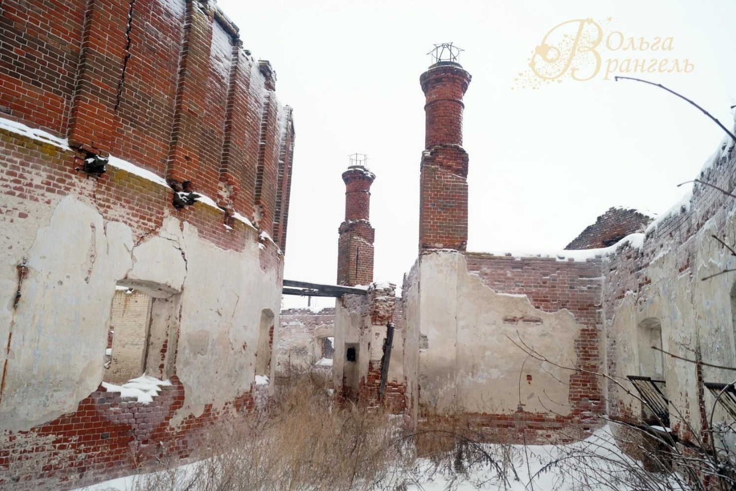 Асеевская конюшня. г. Рассказово. Эстетика руин, 2017 год