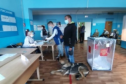 Тамбовчанин с собакой-поводырём проголосовал на избирательном участке в школе № 30