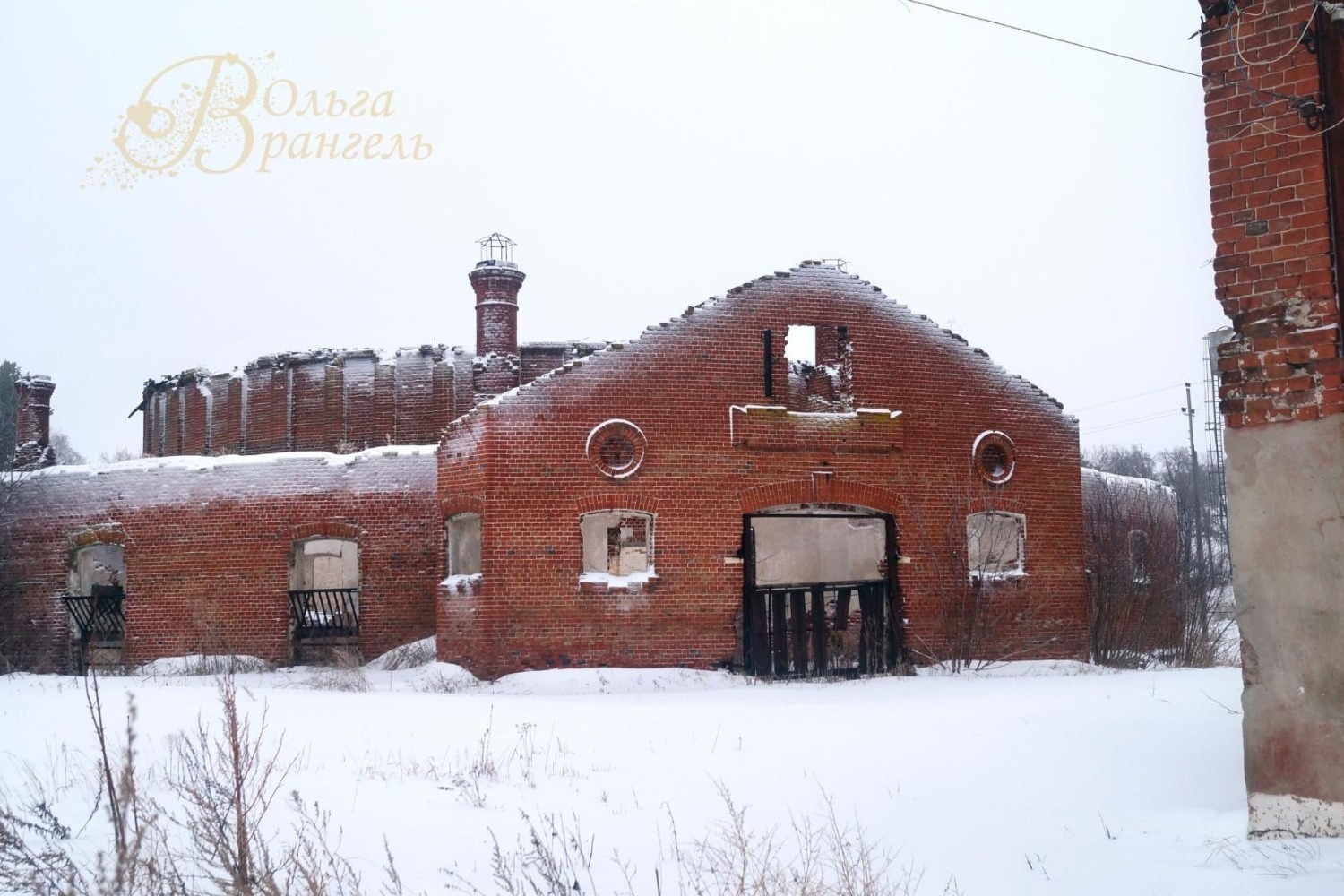 Асеевская конюшня. г. Рассказово. Эстетика руин, 2017 год