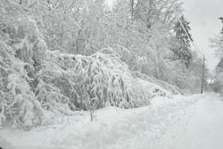 Специалисты «Тамбовэнерго» восстанавливают нарушенное непогодой электроснабжение небольшой части потребителей региона 