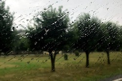 В Тамбове ожидается дождливая неделя