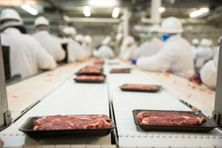 По производству мяса Тамбовщина вышла на второе место в России
