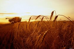 Тамбовская область направит на поддержку аграриев и развитие сельских территорий более 3 миллиардов рублей