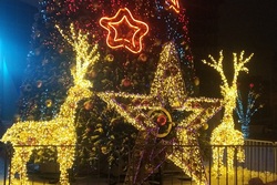 Новогодние торжества в Тамбове обойдутся в 1,2 млн рублей