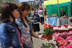 Весенний Тамбов ждёт всех на фестиваль цветов