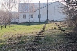 В мучкапской Андриановке благодаря местным жителям высадили аллею 
