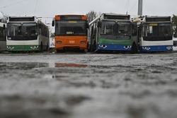 Глава СК затребовал доклад по делу о замене троллейбусов на автобусы в Тамбове