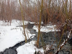 С водоканала могут взыскать 1,5 млн рублей за сток канализации в речку Жигалку