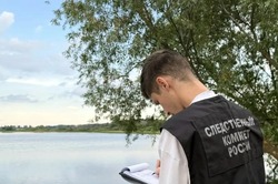 Тамбовские следователи выясняют причины гибели мужчины в пруду 