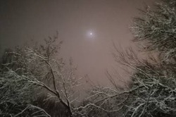 В ноябре тамбовчане увидят метеорный поток