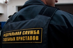Тамбовчанин заплатил более 260 тысяч рублей алиментов после изъятия автомобиля