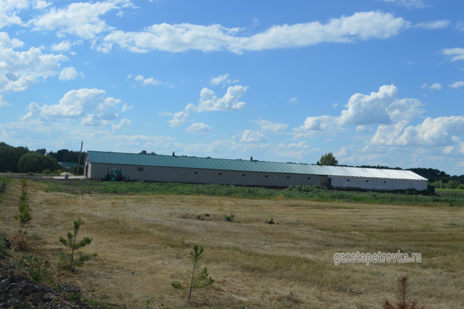 Здание птицефермы находится на подъезде к поселку Ягодник