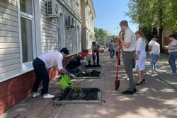 В Тамбове высадили «победную» аллею туй
