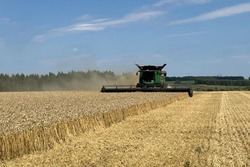 В Тамбовской области собрано около 4 млн тонн зерна